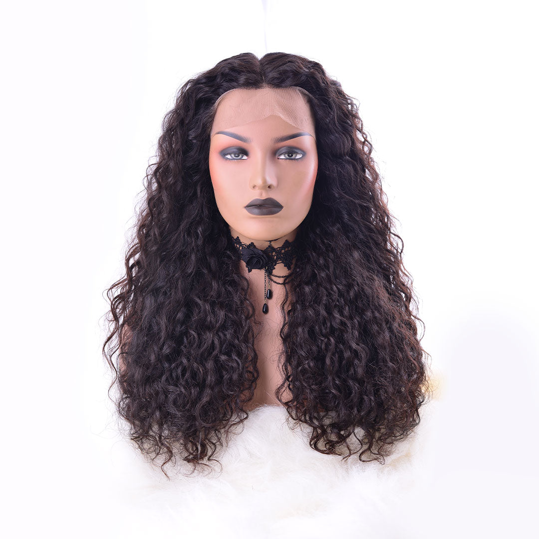 Buy Full Lace Human Hair Wigs Single Donor Indian Hair Gemeria